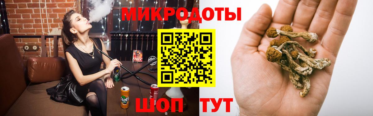 Елабуга  Псилоцибиновые грибы ЛСД  Вход с VPN 